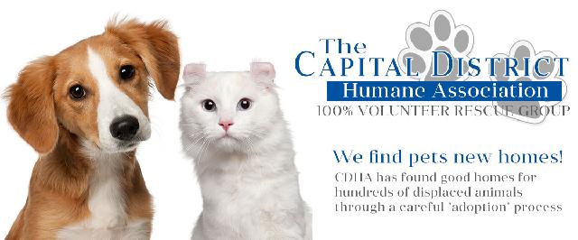 Capital District Humane Association